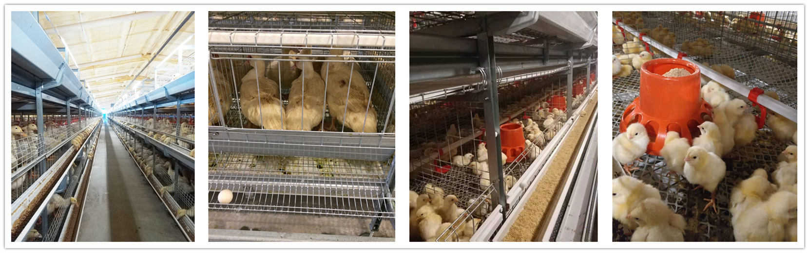 ������|���Q(m��o)���޹�˾��˨ʽ��̽�y(c��)��